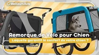 ⭐️ MEILLEURE REMORQUE DE V&Eacute;LO POUR CHIEN  - Comparatif 2025