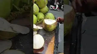 The Art of Coconut Cutting: Techniques & Tips