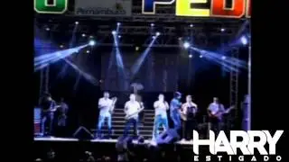 HARRY ESTIGADO   FERIAS EM DUBAY