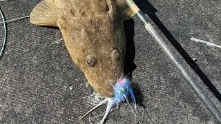Soft Vibes, Hard Bodies and Fly fishing North Queensland. 