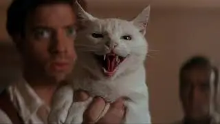 Hug Cats! | Multifandom fanvid
