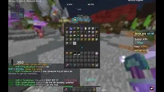 NEW PETS AND ACCESSORY BAG UPGRADE! - Hypixel Skyblock