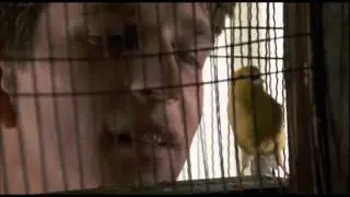 BIRDY (WINDOWS) 1984