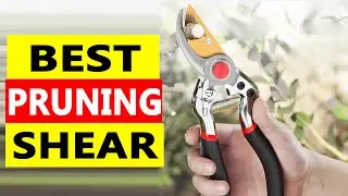Top 5 Best Hand Pruning Shear 2025