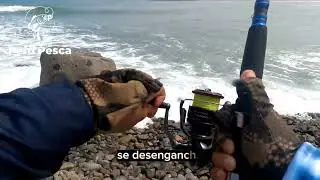 Fishbite esencia de camar&oacute;n DIVERSI&Oacute;N ASEGURADA!