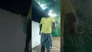 Kalairaja dasmak