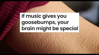 FRISSON: When Music Gives You Goose Bumps (HINT: your brain might be special!)