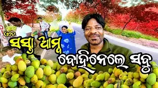 Road Side Mango Market | ଦେଶି Amba | sasta amba | Odia Vlogs | travel Vlogs | viral vlogs