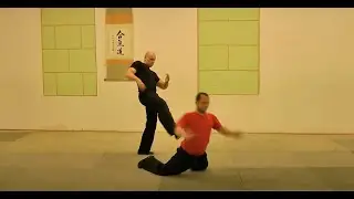 Wing Chun Kung Fu - Ip Man Lineage - Fight Apps - Self Defense