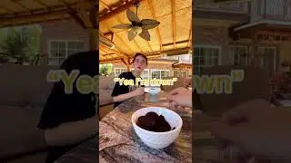 Как получить бесплатную еду 😂