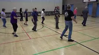 BACK ON TEXAS TIME Line Dance   Gail Smith   2019 Let's Dance Workshop with Ira Weisburd