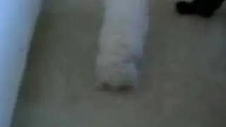 vinku