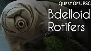 #BdelloidRotifer A Microscopic animal that came to life after 24000 years in frozen state