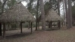Peaceful Indian Village Flute Music | Relaxing Village Background Music