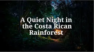 Costa Rican Rainforest Sleep Story | Hidden Waterfall Sanctuary | Deep Relaxation by Alex