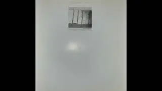 Zent One / Circle Brothers - Split LP (2002)
