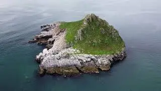 Thatcher Rock, Torquay