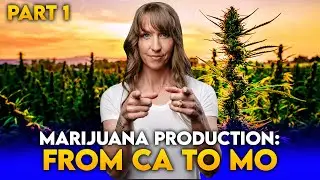 Marijuana Production California To Missouri | The DARK Shift Few Are Talking About | PART 1