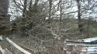 Starling problems.MP4