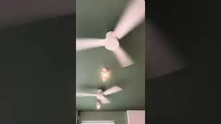 Found two ceiling fans in Sober Raman Japanese restaurant