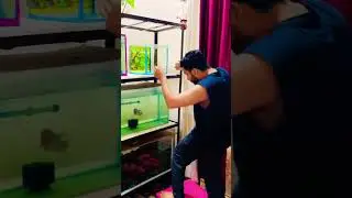 2 new mini tanks setup #viral #shorts #short #viralshorts #shortsfeed #fish #aquarium #viralvideo