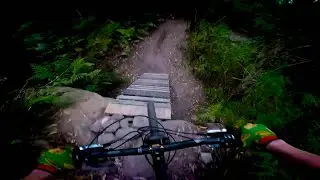 Mt. Keira MTB Itchy & Scratchy, Frenchies, Missing Link, Holy Trail, Old mans & Pucko's