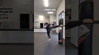 Which Kick do you choose? #taekwondo #martialarts #kickboxing #mma #virall #trending #shorts