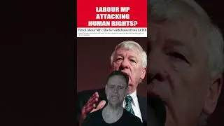 Labour MP Copies Farage on Human Rights?! #shorts