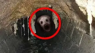 🔴 As 5 Criaturas mais BIZARRAS Capturadas em V&iacute;deo!
