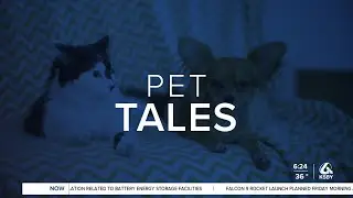 Pet of the Week - Starbucks