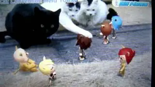 Mii News: 2nd Chaoville Cat Convention