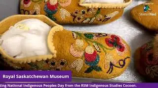Inside the Indigenous Studies Cocoon at the RSM