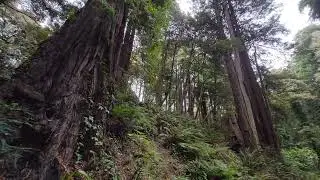 Adventuring in Northern California