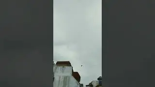 kite cut #caught#kite#looting