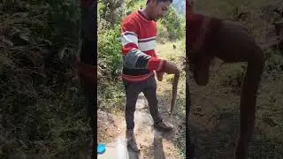 common send boa release