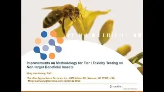 Improvements on Methodology for Tier I Toxicity Testing on Non-target Beneficial Insects