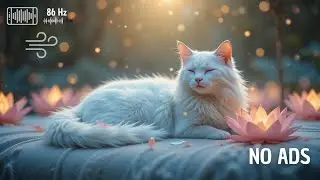 MANTRA FOR CATS - 86 Hz - Animal Healing Reiki | Shamanic Animal Healing Music [ Wind Textures ]