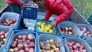 HIMALI Manang district, Nepal (Long Version English Subtitle)