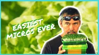Self Watering Microgreen Grower / Easy DIY Hydroponics systems