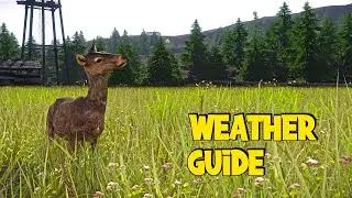 The Ultimate Miscreated Survival Guide - Part 4