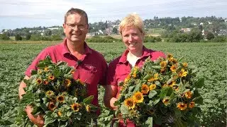 Pinsdorf Flowers im Rampenlicht