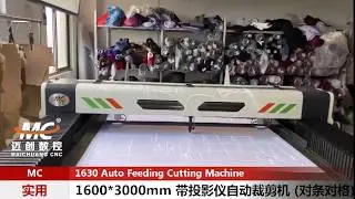 1630 automatic fabric laser cutting machine with Projector