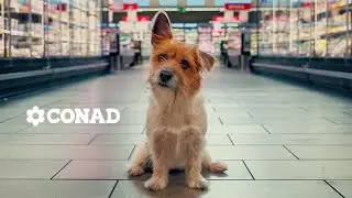CONAD - Il Cagnolino - TV60 -  2024