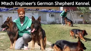 Mtech Engineer Ka German Shepherd Kennel | Elite German Shepherds