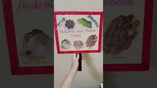 Placard of Food profile or Andaman and Nicobar