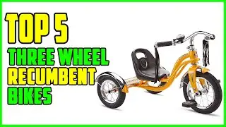 TOP 5 Best Three Wheel Recumbent Bikes 2025