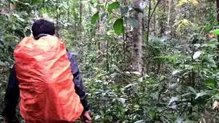 Our journey to K50 Waterfall - Gia Lai #travel #gopro #drone