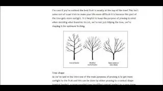How To Prune Fruit and Nut Trees
