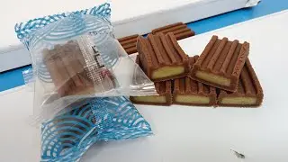 Filled Date Bar Fig Newton Cookies Encrusting And Filling Machine Packing Machine