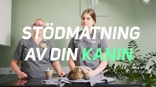 Stödmatning KANIN
